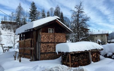 Firewood stacks from around the world